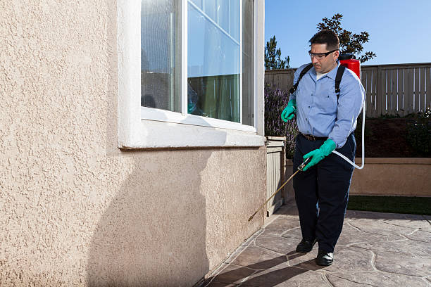 Best Residential Pest Control  in Longview, WA